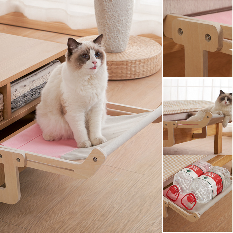 Fönster katt hÀngande sÀng