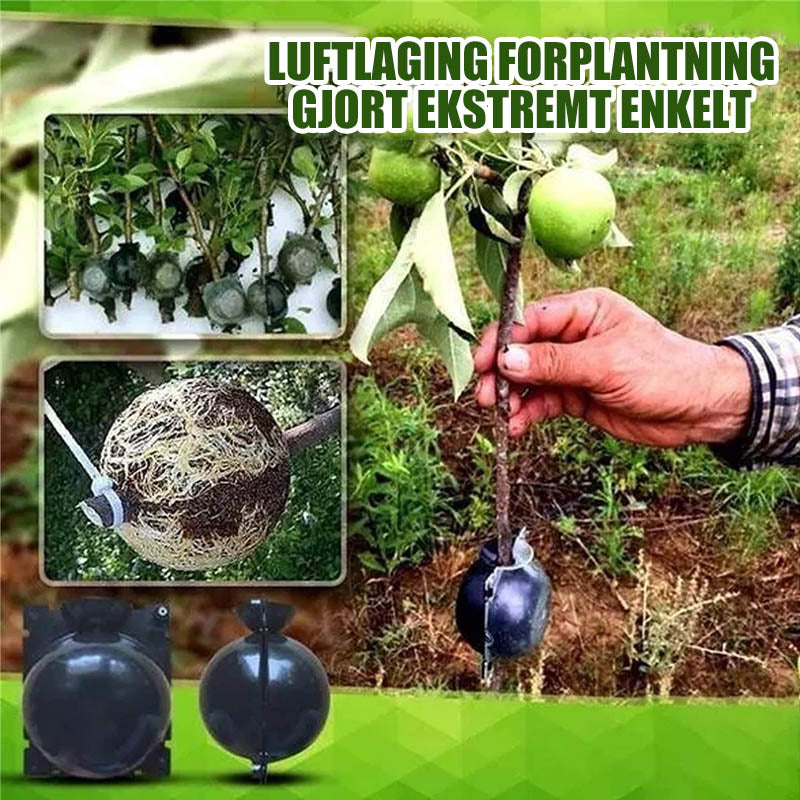 Luftlagring propagator pod
