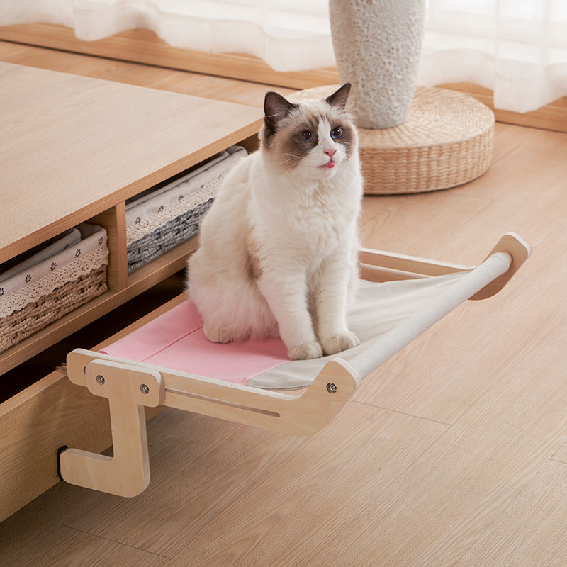 Fönster katt hängande säng