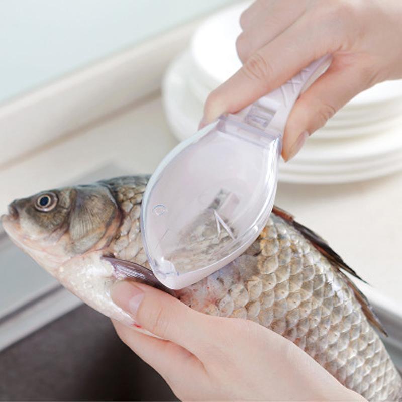 Fiskfjäll Skrapare