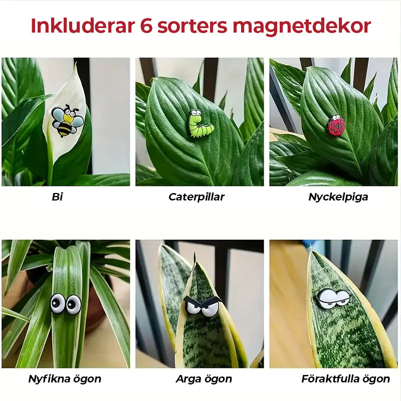 😂 Söt växtmagnetdekor (6 st/set)