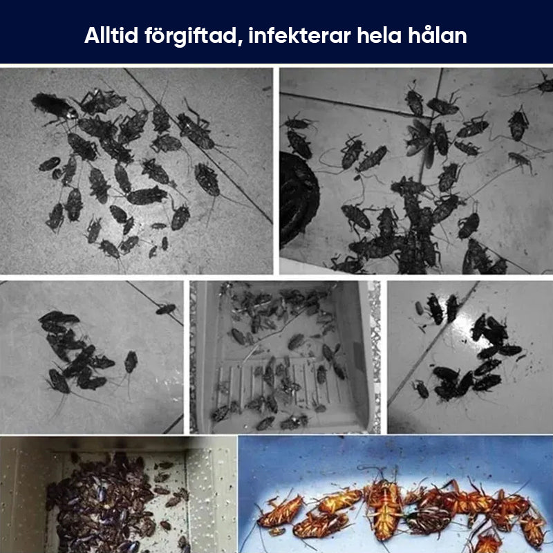 Säker kackerlackaavvisande eterisk olja