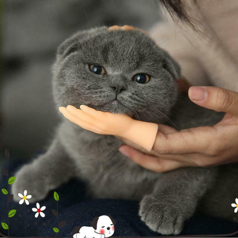 💪🐱Roliga kattmassagehandskar