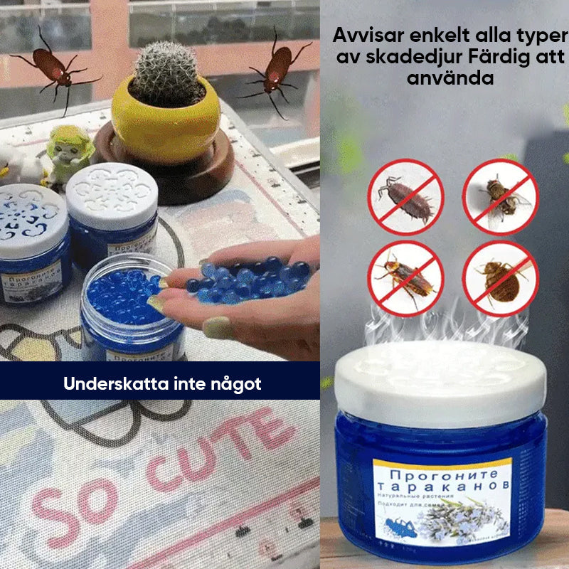 Säker kackerlackaavvisande eterisk olja