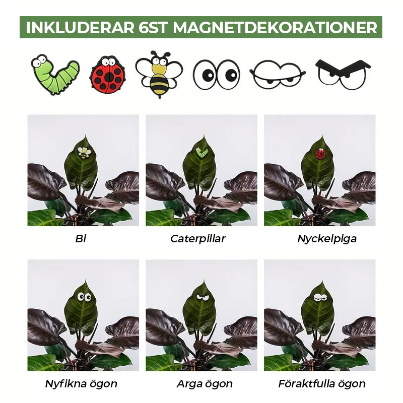 😂 Söt växtmagnetdekor (6 st/set)