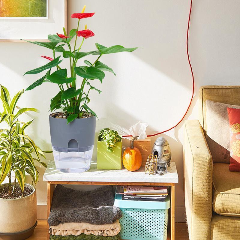 Självvattnande Hydroponisk Blomkruka