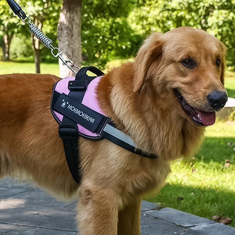 Reflekterande allt-i-ett-sele som inte drar hunden