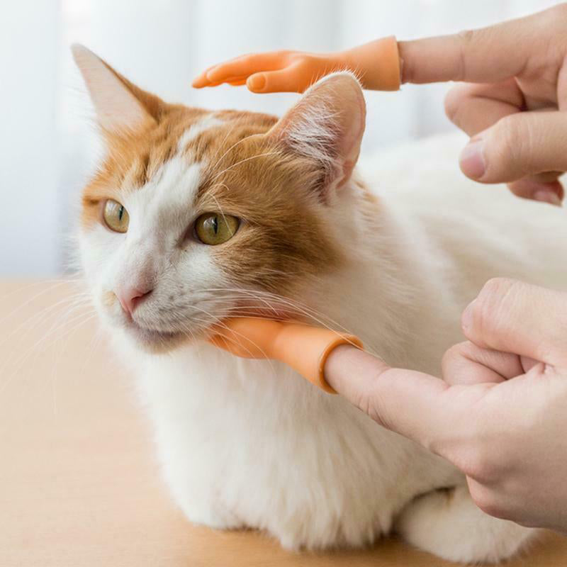 💪🐱Roliga kattmassagehandskar