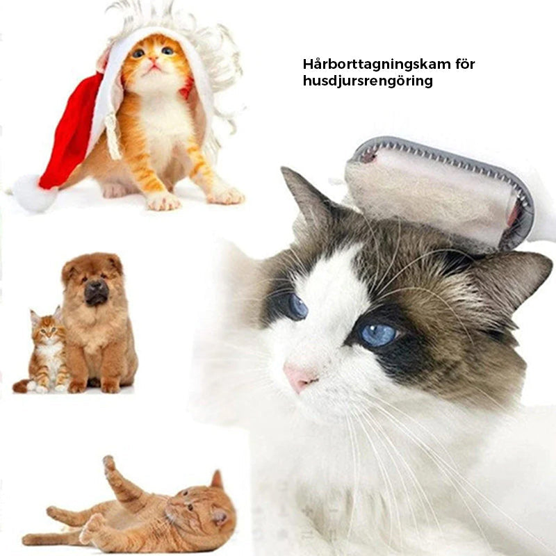 👍Husdjurshårborttagningskam med vattentank