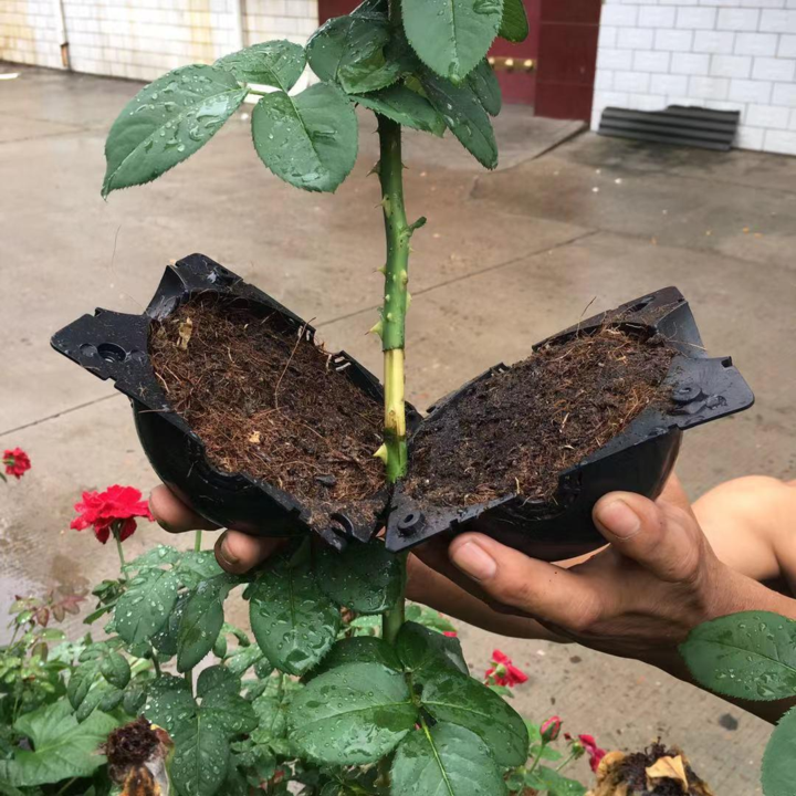 Luftlagring propagator pod