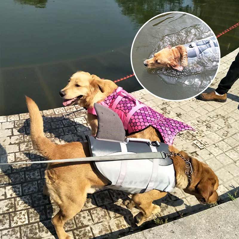 Hundsimsäker jacka