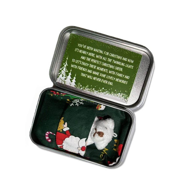 Nallebjörn julklapp